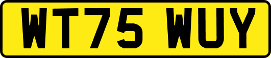 WT75WUY