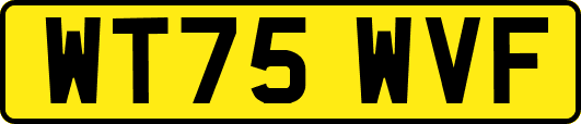 WT75WVF