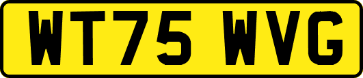 WT75WVG