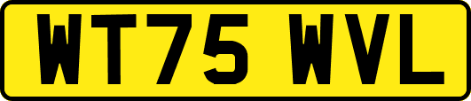WT75WVL