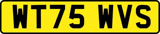 WT75WVS