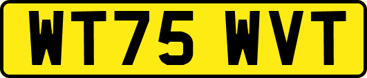 WT75WVT