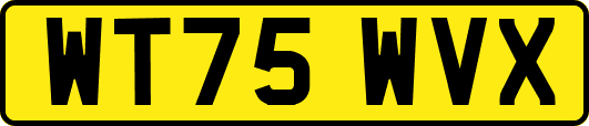 WT75WVX