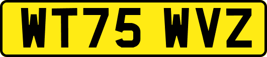 WT75WVZ