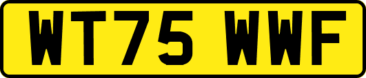 WT75WWF