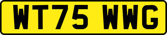 WT75WWG