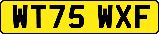 WT75WXF