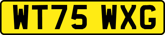 WT75WXG