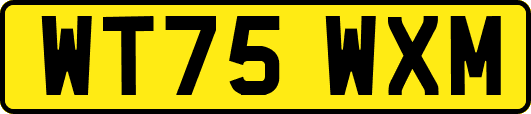 WT75WXM