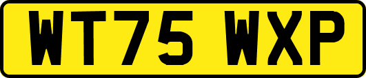 WT75WXP
