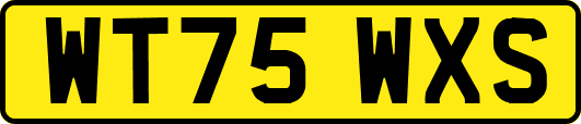WT75WXS