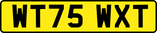 WT75WXT