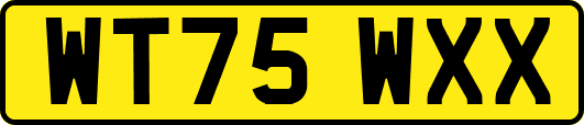WT75WXX