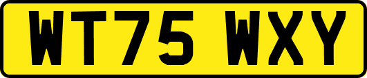 WT75WXY