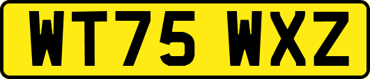 WT75WXZ