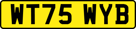 WT75WYB