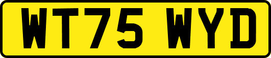 WT75WYD