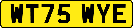 WT75WYE
