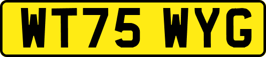 WT75WYG