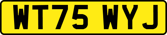 WT75WYJ