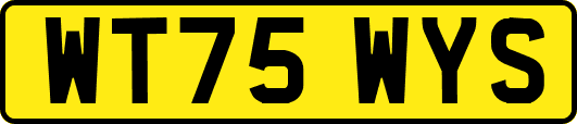 WT75WYS