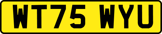 WT75WYU