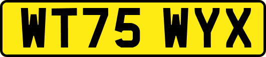 WT75WYX