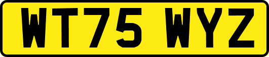 WT75WYZ