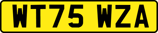 WT75WZA