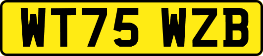 WT75WZB