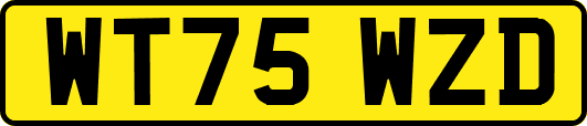 WT75WZD
