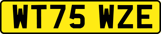WT75WZE
