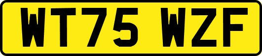 WT75WZF