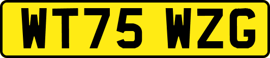 WT75WZG