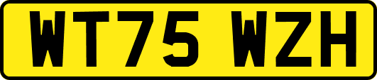 WT75WZH