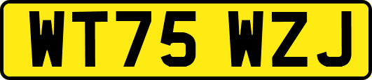WT75WZJ