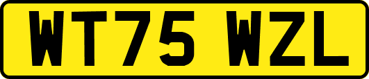 WT75WZL