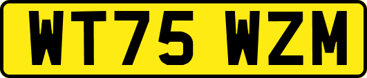 WT75WZM