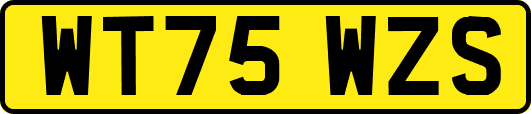WT75WZS
