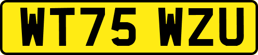 WT75WZU