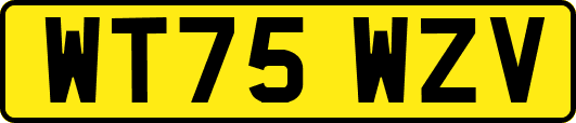 WT75WZV
