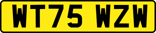 WT75WZW