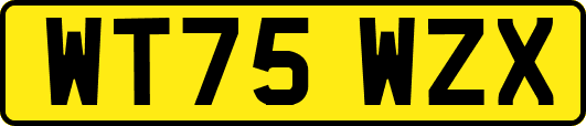 WT75WZX
