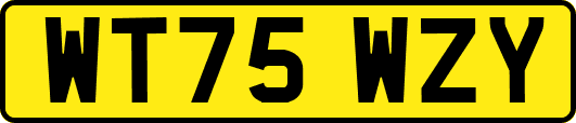 WT75WZY