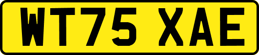 WT75XAE