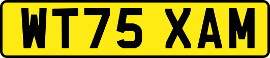 WT75XAM