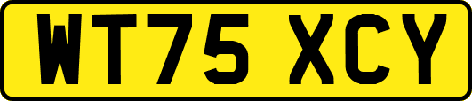 WT75XCY