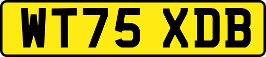 WT75XDB