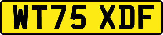 WT75XDF
