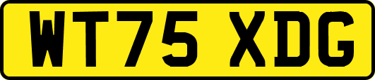 WT75XDG